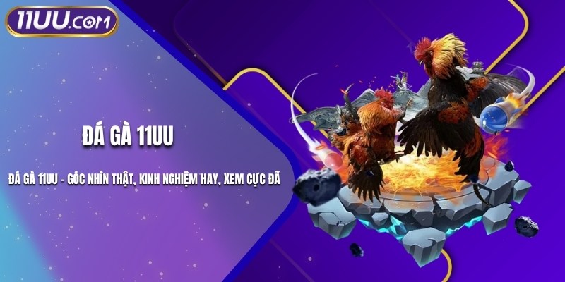 Đá Gà 11UU – Góc Nhìn Thật, Kinh Nghiệm Hay, Xem Cực Đã