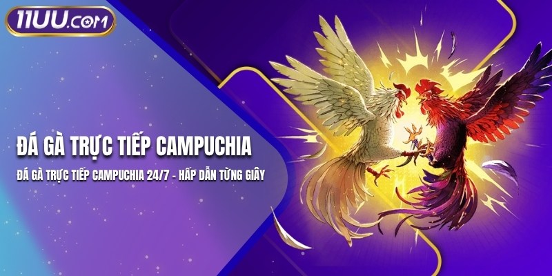 Đá Gà Trực Tiếp Campuchia 24/7 – Hấp Dẫn Từng Giây