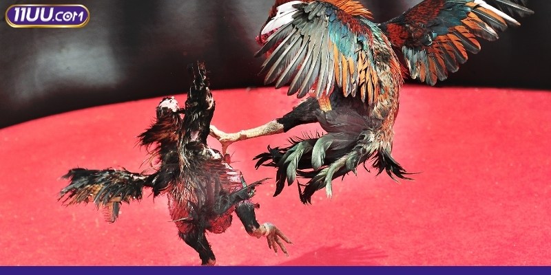 Tự do chọn thể loại chơi theo sở thích