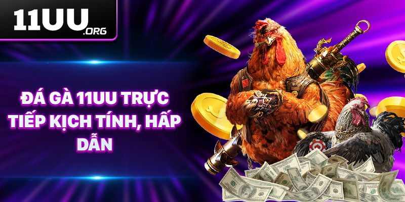 Đá gà 11UU trực tiếp kịch tính, hấp dẫn